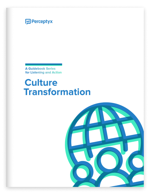 LP_Cover_Thumb_Guidebook_Culture-Transformation_484x626