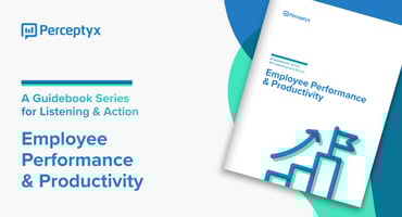 Employee Performance & Productivity