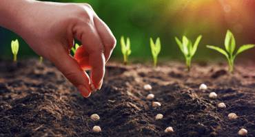 Inari: Customer EX Impact Story