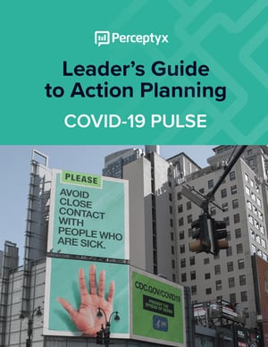 leadersguidetoactionplanning-cover-thumb