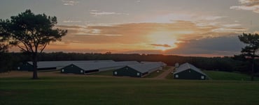 Wayne-Sanderson Farms Achieves 87% Participation in First All-Employee Survey and 99% Manager Action Plan Completion