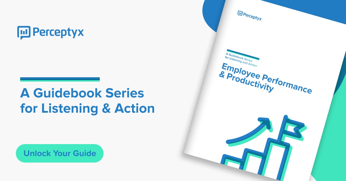 Employee Performance & Productivity: A Listening and Action Guidebook